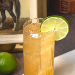 KENTUCKY MULE